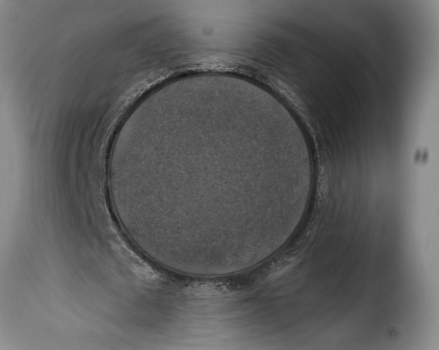 X0000115360673200911241217