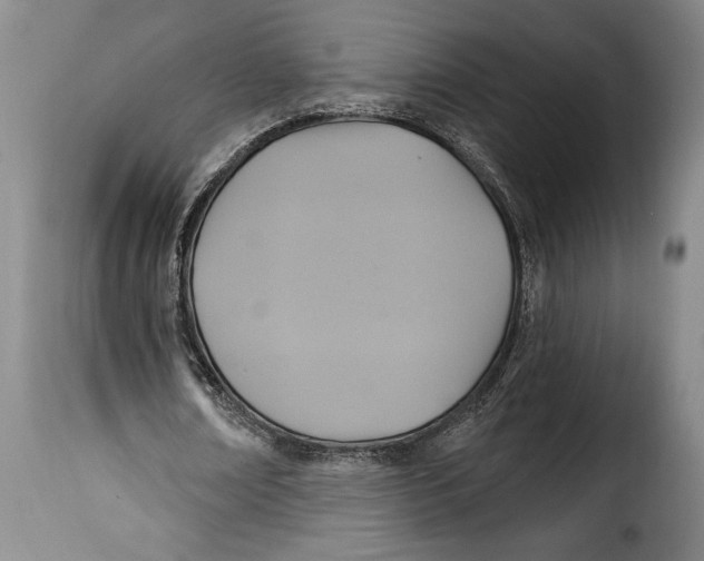 X0000115360674200911241217