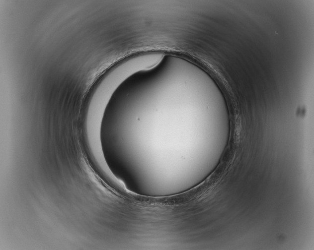 X0000115360677200911241217