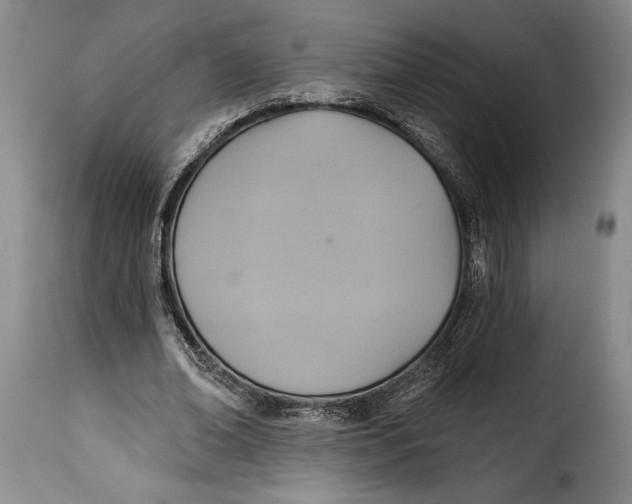 X0000115360678200911241217