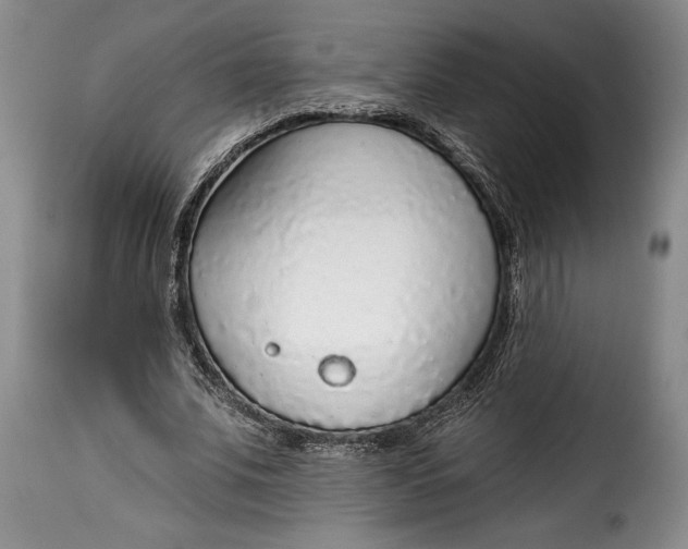 X0000115360679200911241217