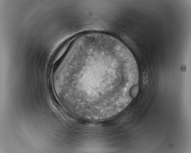 X0000115360680200911241217