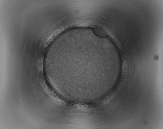 X0000115360681200911241217