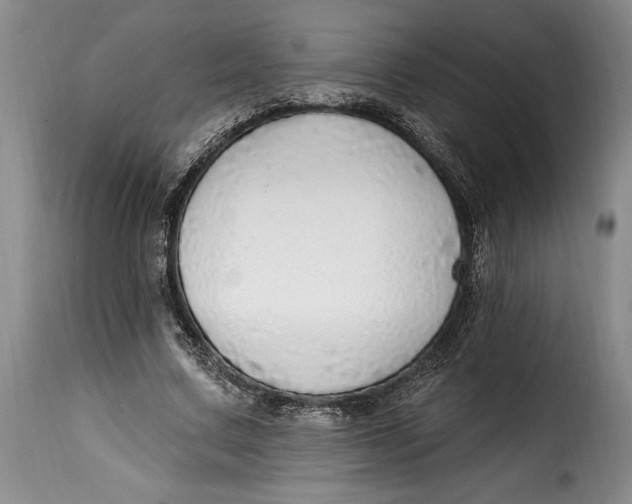 X0000115360683200911241217