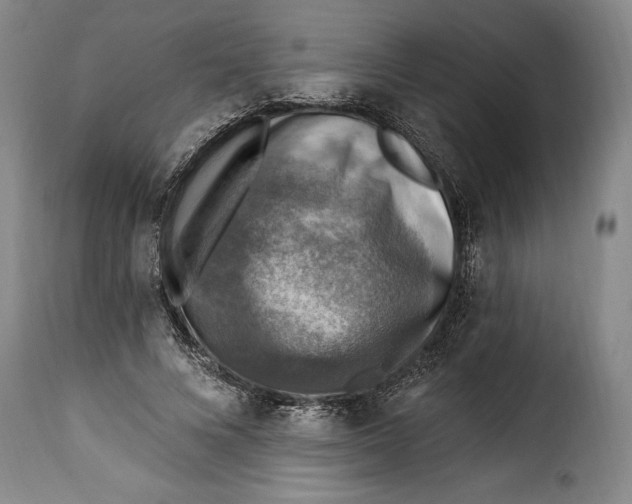 X0000115360688200911241217