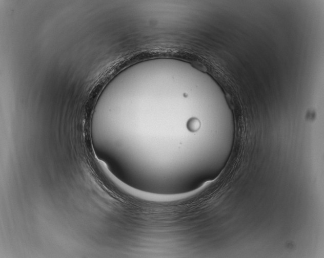 X0000115360692200911241217