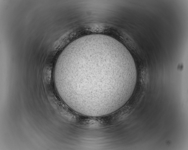 X0000115360697200911241217