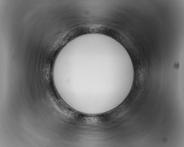 X0000115360698200911241217