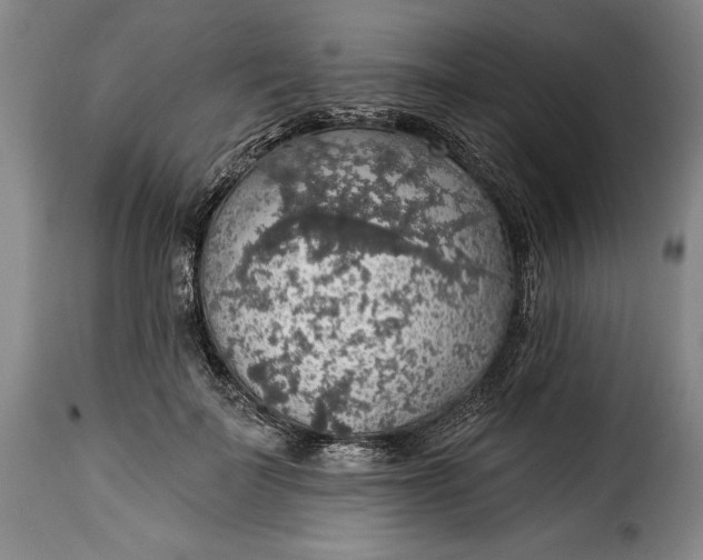 X0000115360699200911241217