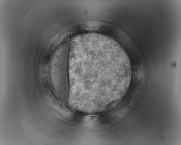 X0000115360700200911241217