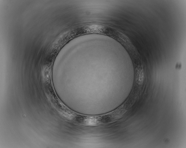X0000115360701200911241217