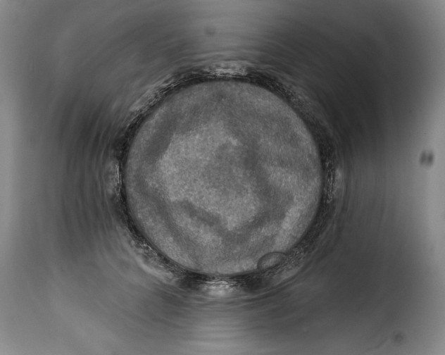 X0000115360704200911241217