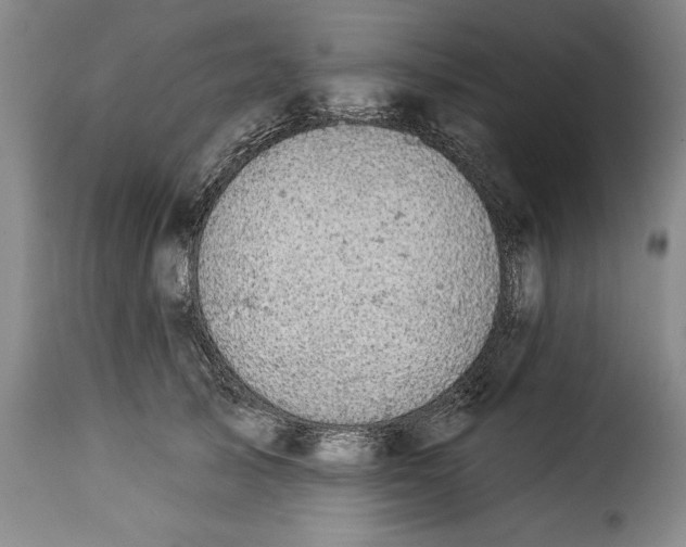 X0000115360705200911241217