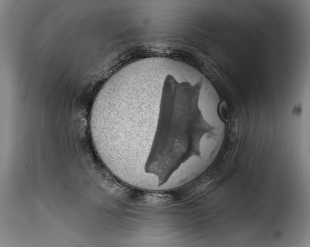 X0000115360707200911241217