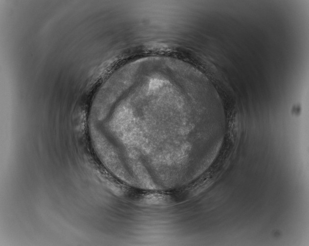 X0000115360708200911241217
