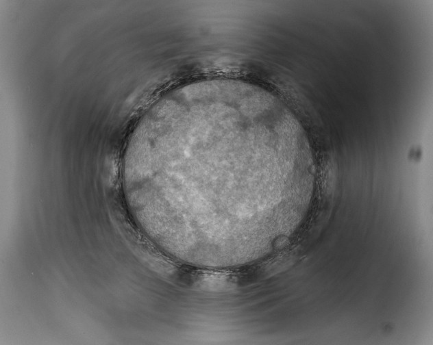 X0000115360709200911241217