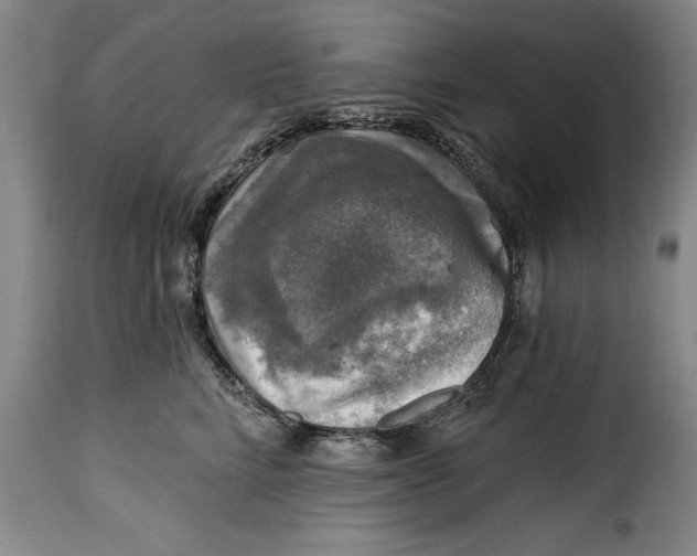 X0000115360712200911241217