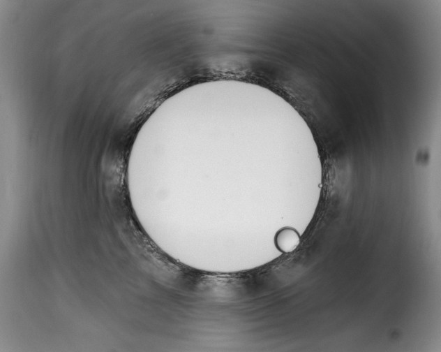 X0000115360713200911241217