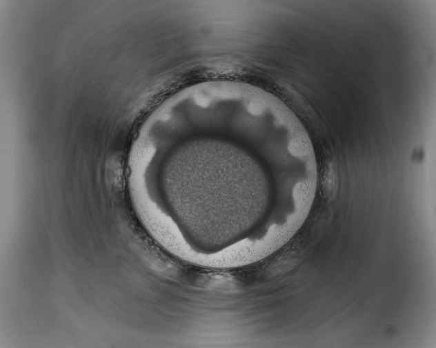X0000115360715200911241217