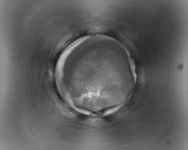 X0000115360716200911241217