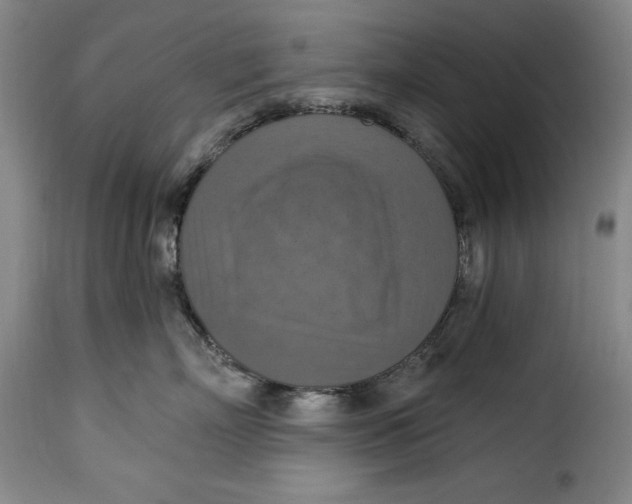 X0000115360718200911241216