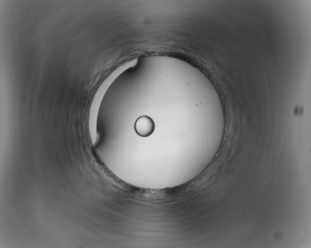 X0000115360720200911241216