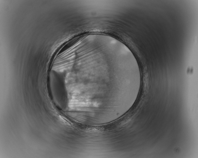X0000115360721200911241216