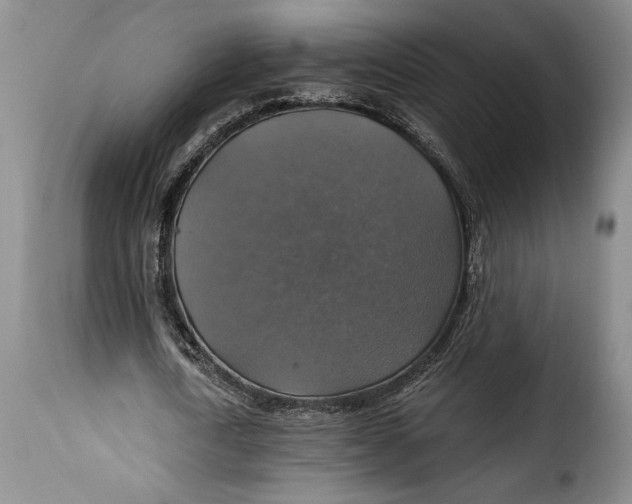 X0000115360722200911241216