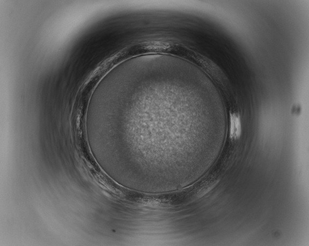 X0000115360723200911241216