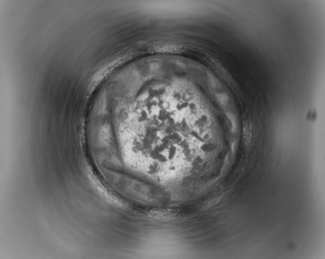 X0000115360725200911241216