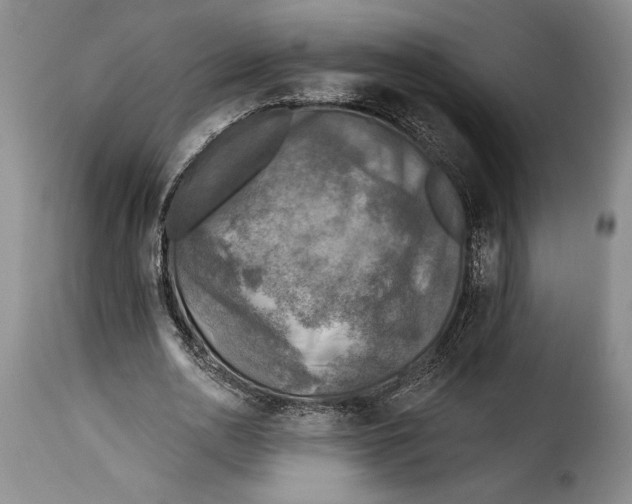 X0000115360726200911241216