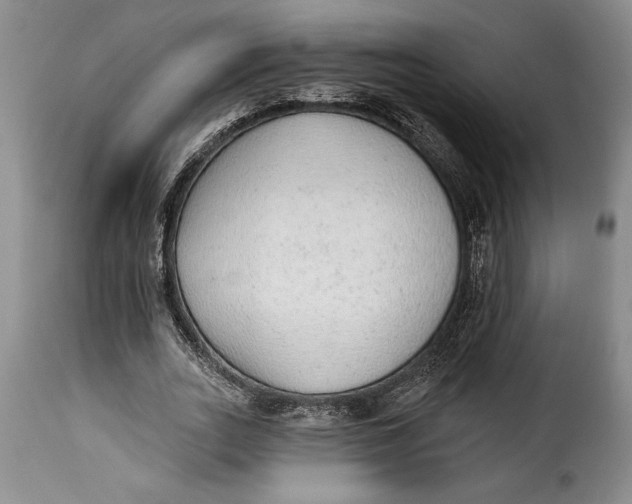 X0000115360727200911241216