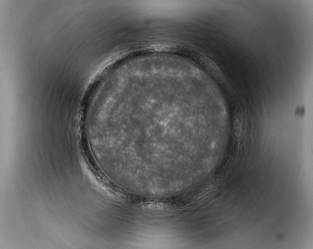 X0000115360730200911241216