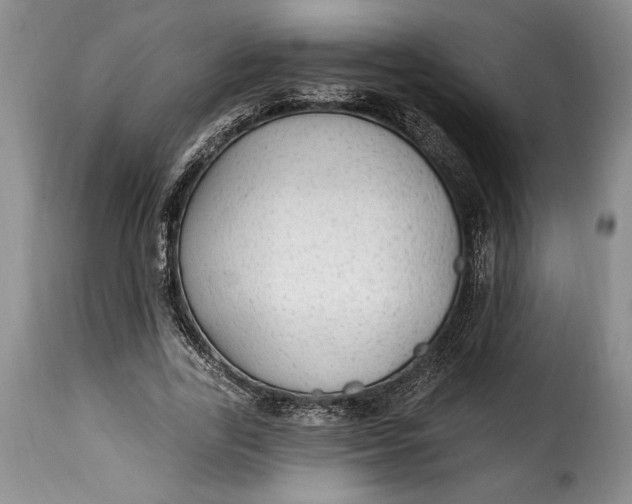 X0000115360731200911241216