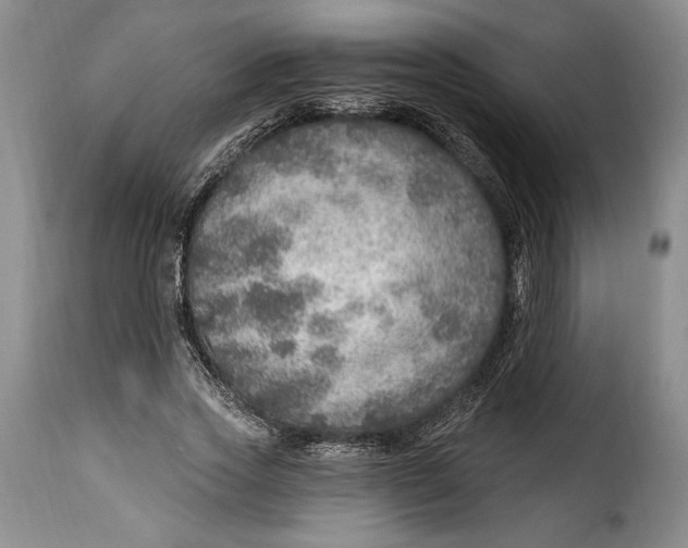 X0000115360733200911241216
