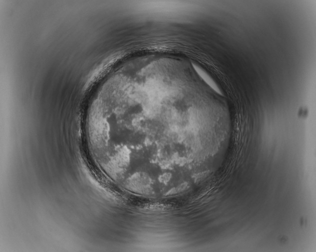 X0000115360734200911241216