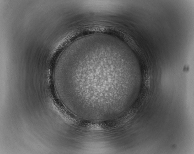 X0000115360735200911241216