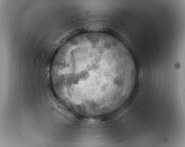 X0000115360737200911241216