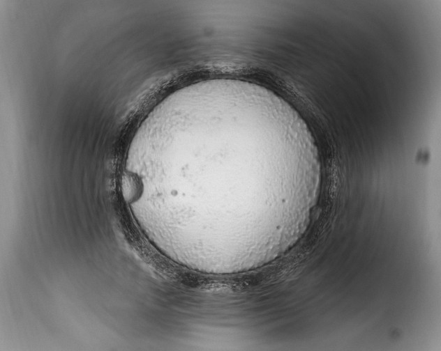 X0000115360738200911241216
