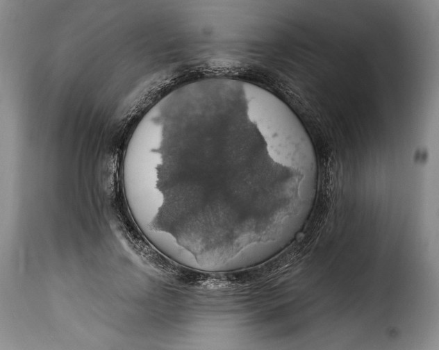 X0000115360742200911241216