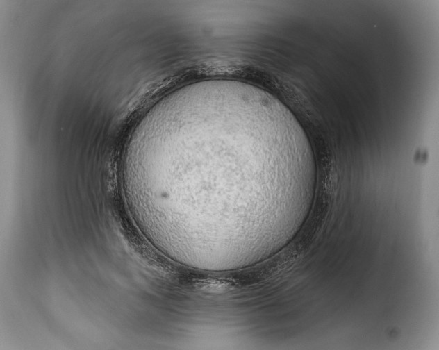 X0000115360743200911241216