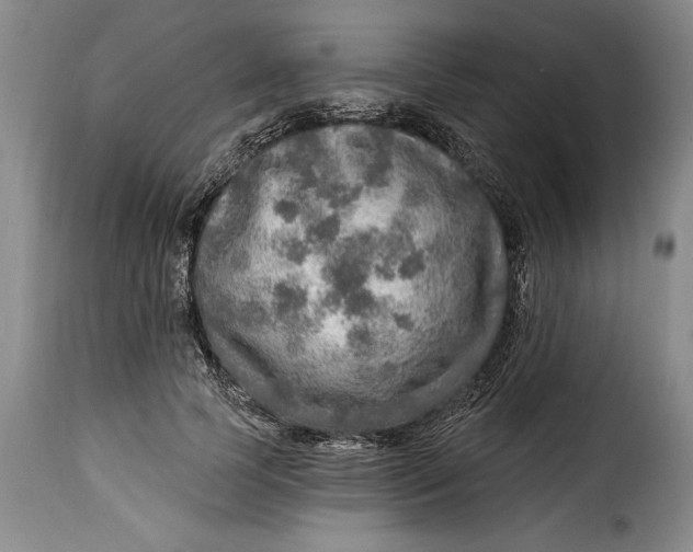 X0000115360745200911241216