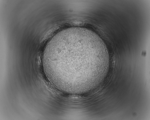 X0000115360746200911241216