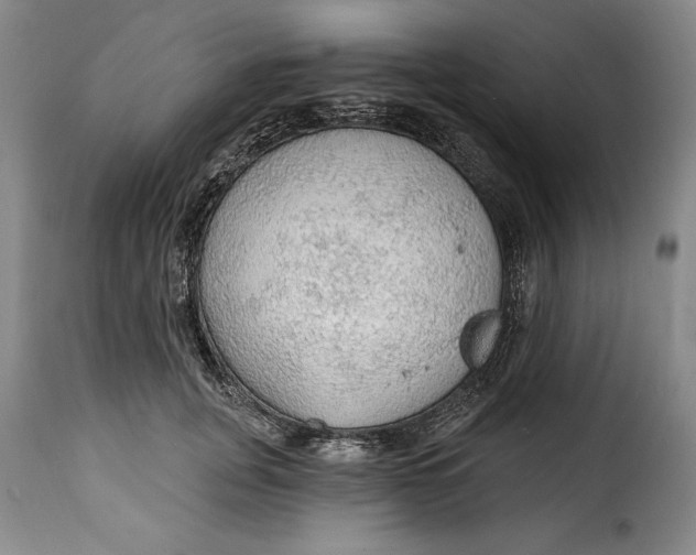 X0000115360751200911241216