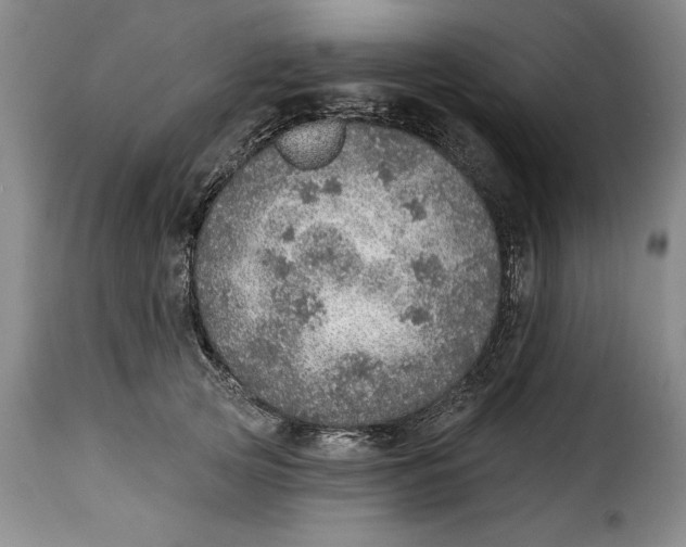 X0000115360753200911241216