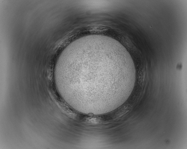 X0000115360755200911241216