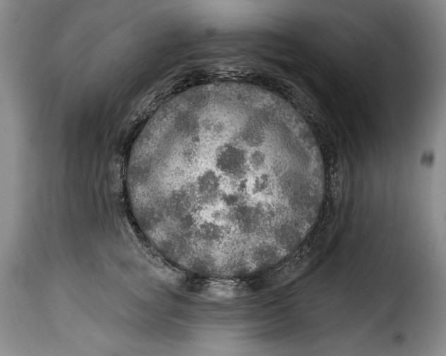 X0000115360757200911241216