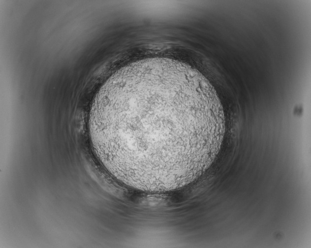 X0000115360758200911241216