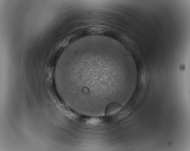X0000115360759200911241216