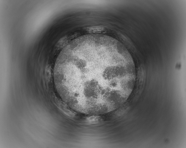 X0000115360761200911241216
